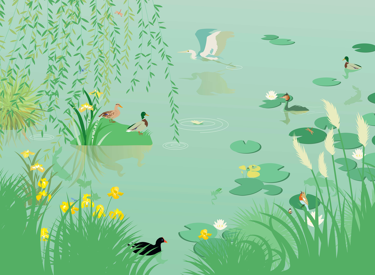 little cabari papier peint panoramique étang canard couleur vert