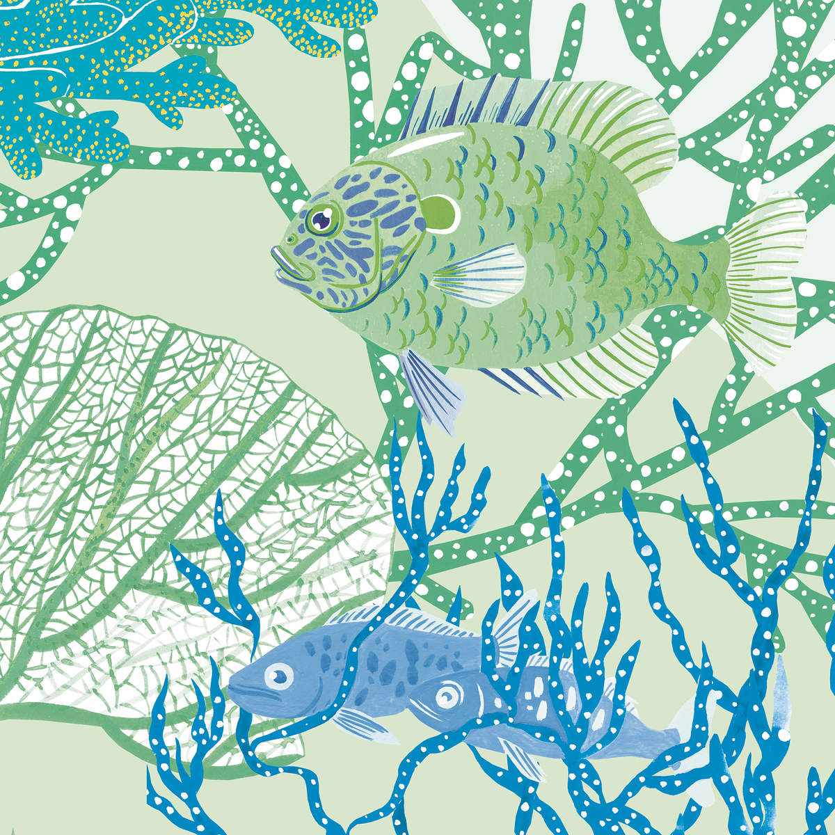 little cabari papier peint panoramique mer poisson couleur vert bleu