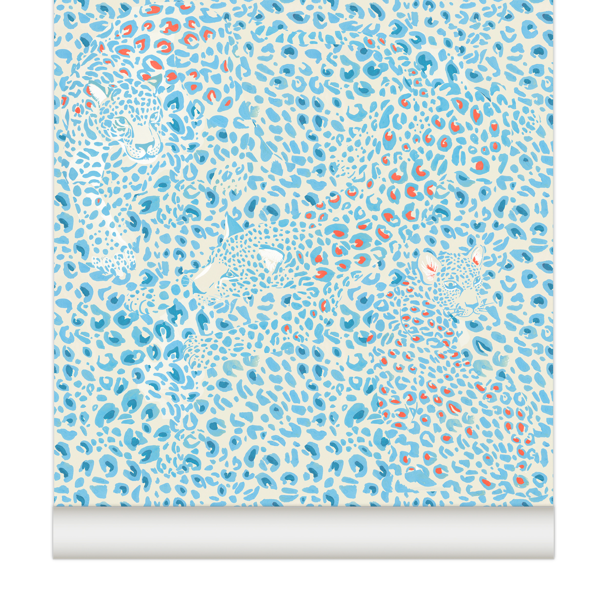 little cabari papier peint leopard couleur bleu