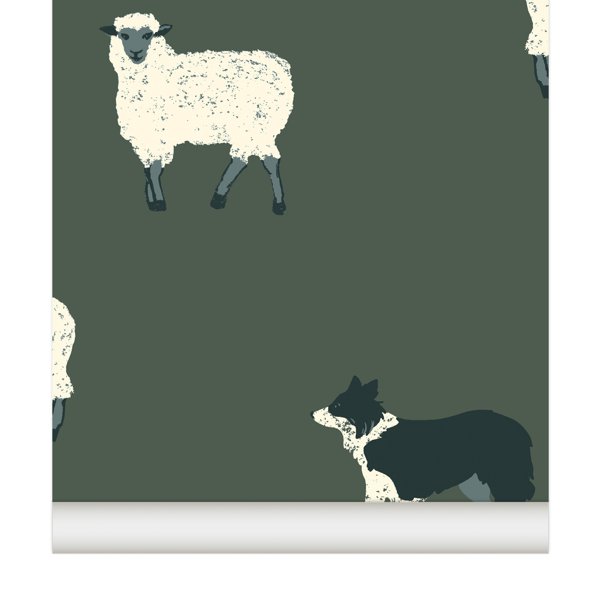 papier peint moutons Border Collie