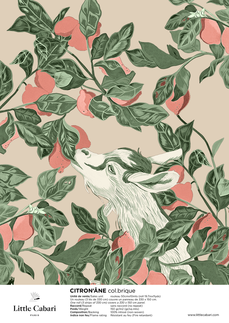 Echantillon A4 - Citron'âne