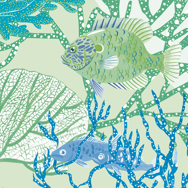 little cabari papier peint panoramique mer poisson couleur vert bleu