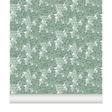 little cabari papier peint corail couleur vert clair