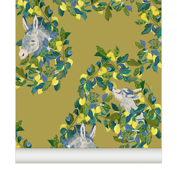 papier peint citron chevre ane