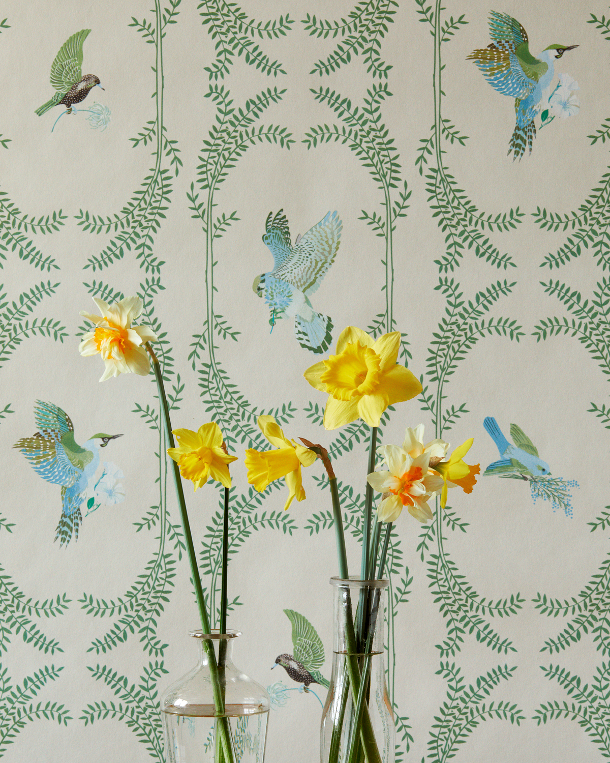 little cabari papier peint nature oiseau couleur vert gris
