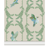 little cabari papier peint nature oiseau couleur vert gris