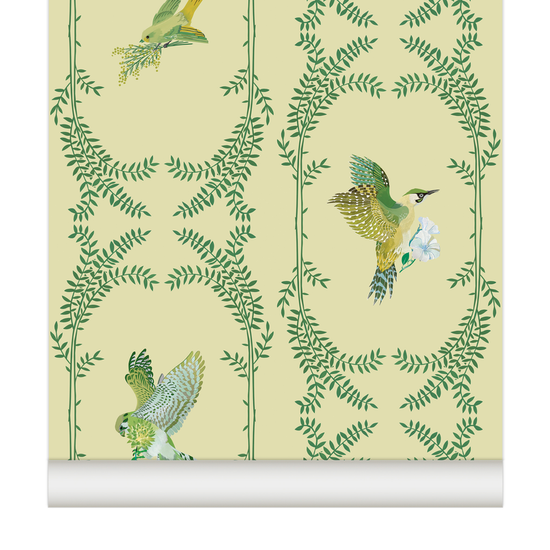 little cabari papier peint nature oiseau couleur vert jaune