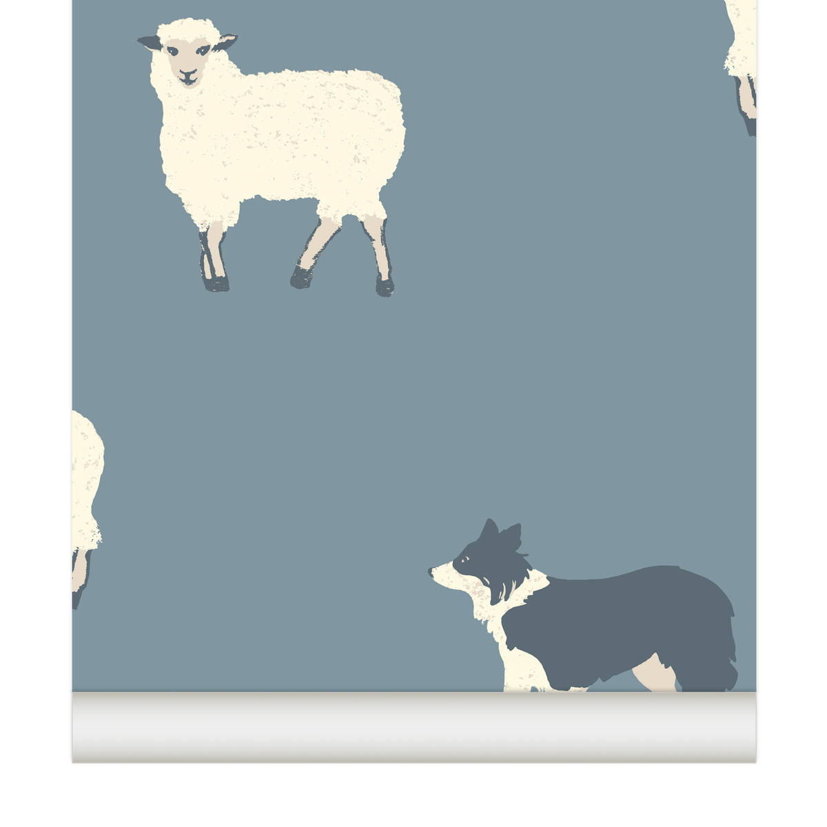 papier peint moutons Border Collie