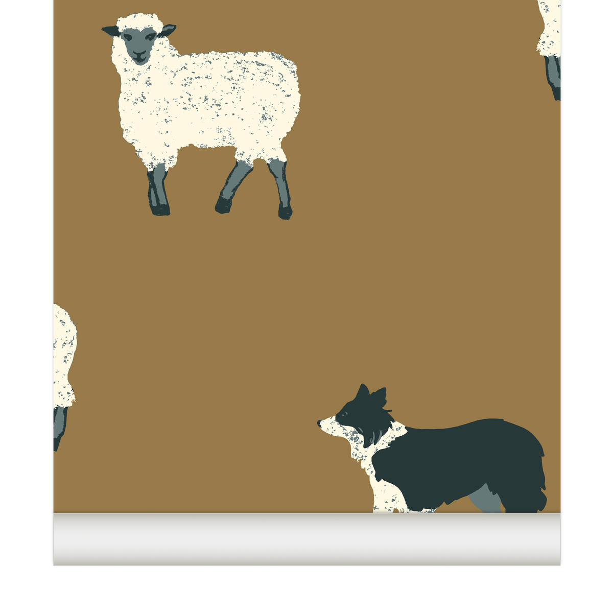 papier peint moutons Border Collie