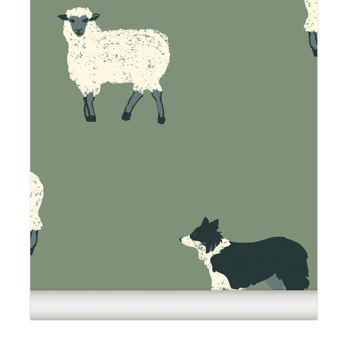 papier peint moutons Border Collie