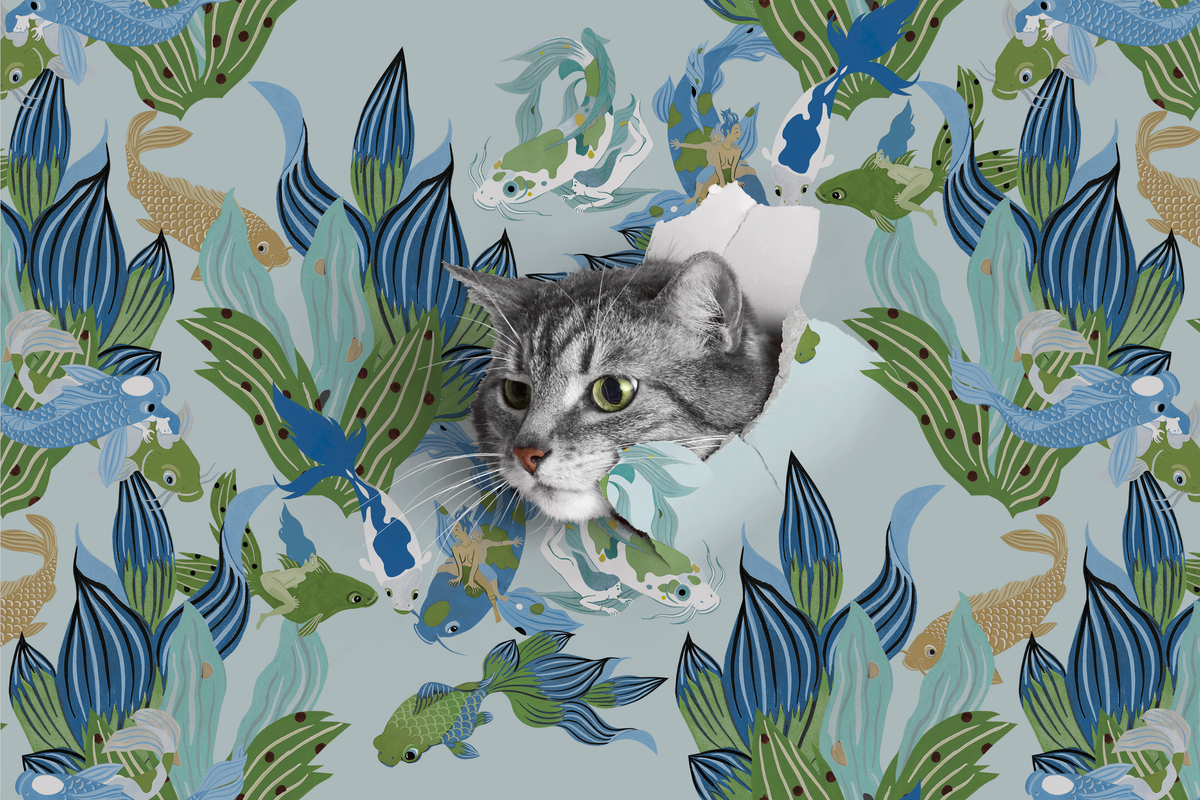 little cabari papier peint poisson mer couleur vert bleu 