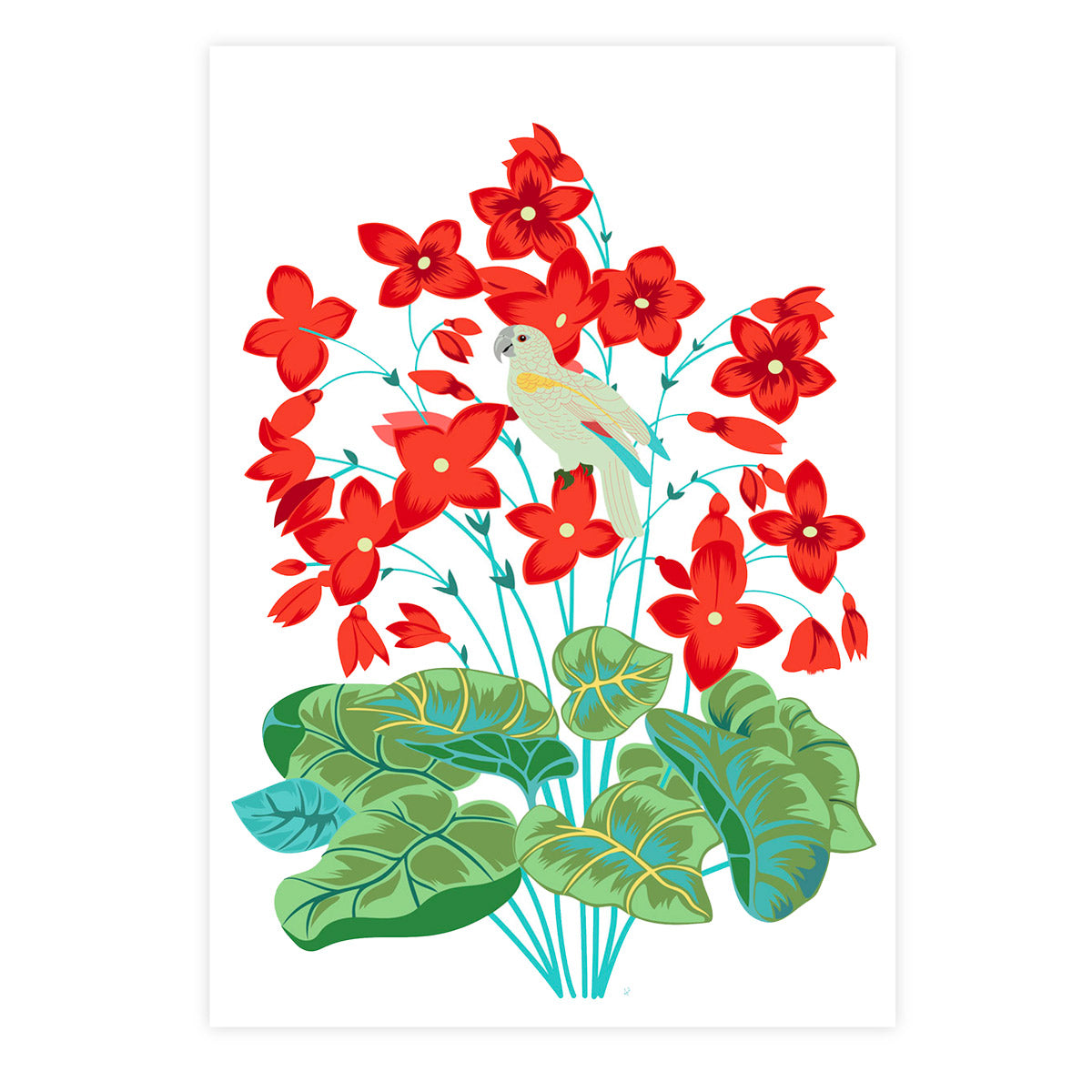 little cabari affiche fleur couleur rouge oiseau