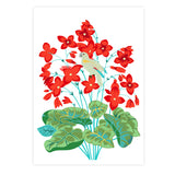 affiche rouge fleur alice Ricard little Cabari