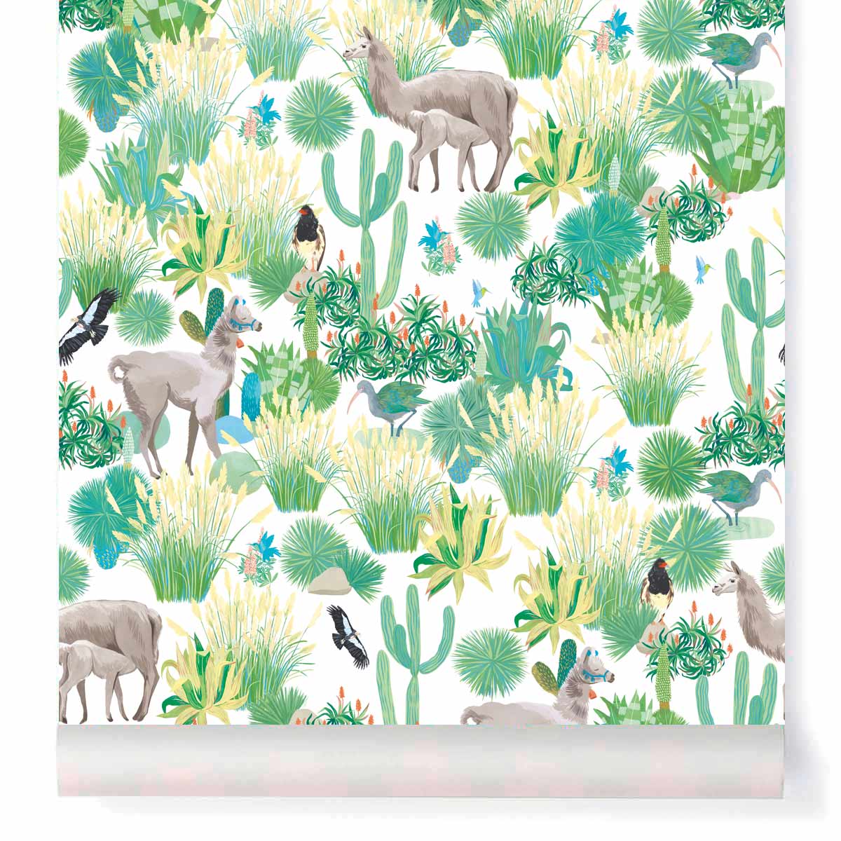 little cabari lama plante couleur vert bleu jaune